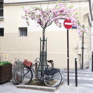 Le Printemps est partout